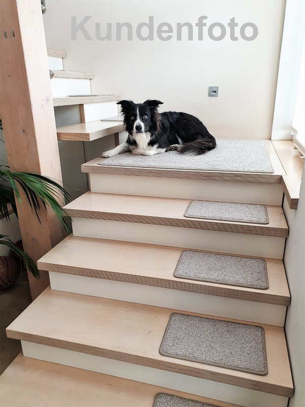 Shaggy Treppenauflage selbsthaftend 35x23cm für grosse Hunde lichtgrau ab 13 St